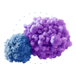 Раковые клетки | Альгимед Техно | No cancer - изучение молекул микроРНК