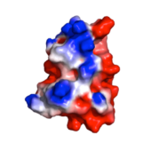 Молекула белка | Альгимед Техно | Экспресс-тест на загрязнение поверхности