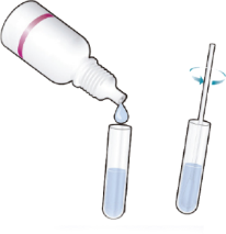 Экспресс-тест для обнаружения антигена короновируса SARS-CoV‑2 AG