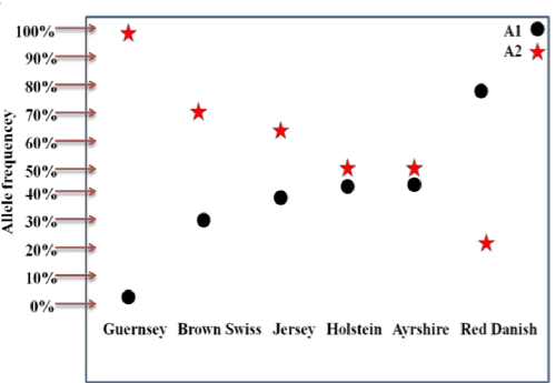 Схема "частота встречаемости аллелей и генотипов в различных породах"